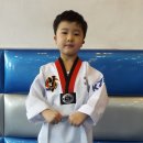 대산태권도 이미지