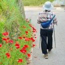 금강물길 이미지