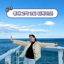 워케이션 뜻 강원도 동해오션시티레지던스 여행하면서 일하기