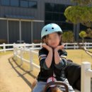 푸른자연유치원 | 노벨유치원 찬솔반 승마장 체험 후기 | 포니말타기·말 먹이주기·봄 소풍처럼 즐거웠던 자연 체험