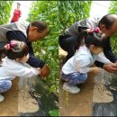 맹골마을 이미지