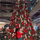 꿀밤스테이 | 춘천 아이와 가볼만한곳, 대형 크리스마스 트리 카페 포토존 소금빵 맛집 올데이스테이(+기저귀갈이대)