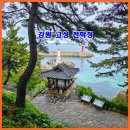 관동마을 진입로 | 강원도 고성여행 숨은 명소, 고성천학정에서 만난 에메랄드 고성바다와 100년 송림의 힐링