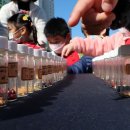 어울마당어린이공원 이미지