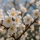 메이드유의원 이미지