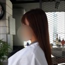봅스 헤어