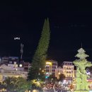 대문자J의 베트남 달랏,나트랑,무이네 4박 5일 일정 공유- [1일차 달랏 일기]