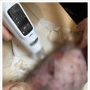 마음을 읽어주는 마음동물병원 이미지