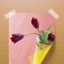 셀로판B 이미지