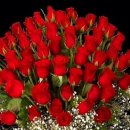 (주)레이바이오 이미지