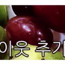 안금정어린이공원 이미지