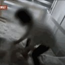 [아이돌보미 아동학대 사건 기사 공유] 생후 8개월 아기 내동댕이 친 돌보미... 이미지
