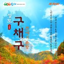 성도여행사