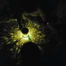 구립 새솔어린이집 이미지