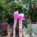 대아약업사 이미지