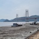백사장농수산물
