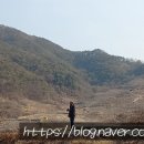 대안2리마을회관 이미지