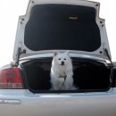 슬도주차장 이미지