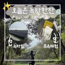 제주 이색 체험 추천 | 오늘은녹차한잔 후기, 녹차족욕과 멋진신세계 촬영지 동굴길