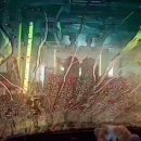 다솜주유소 이미지