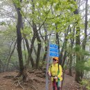 축령산 이미지