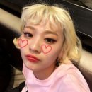 스타일 퍼피 이미지