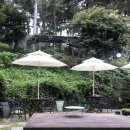 개냥이 연구소 이미지