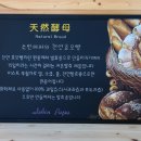 파파빈 네이버블로그