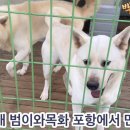 범이네 이미지
