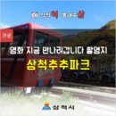 하이원추추파크 네이버블로그