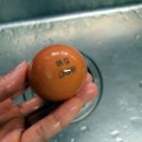 서강농장 이미지