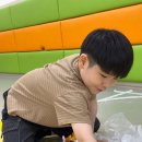 바른i 태권도 이미지