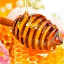 비타민 스크린골프 이미지