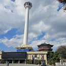 용두산공원 이미지