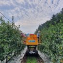 가나안농원 이미지