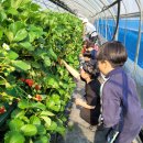 상록 농장 이미지