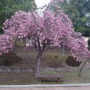 웅천친수공원 이미지