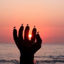 원경회식당 이미지