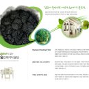디자인창성