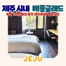 메종시나 | 제주 메종글래드 호텔 조식패키지 특가 | 1월 제주도 제주시 숙소 후기