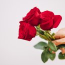 장곡고등학교 이미지