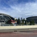 코바렌트카(주) | 폴란드 일상 254일차 : 렌트카 타고 라벤더 보러 주말여행 1일차(수오네츠나 라벤다, 피에스코 스카와...