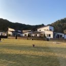 댕모아 | [포천] 쓰담쓰담 펜션 밍 생일파티 [서울대입구역] 밍쪼꼬의 생일 케이크 모음집