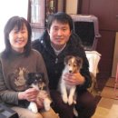 아이즈 오브 엔젤 이미지