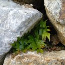 죽변등대공원 이미지