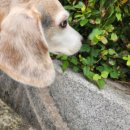 헤아림동물병원 이미지