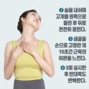 일호스포츠