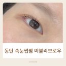 미블리,뷰티 | 동탄 속눈썹펌 1:1 맞춤 디자인 미블리브로우