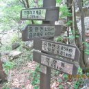 토속건강원 - 경주시 천북로 337 | 토속건강원