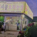 시골오리 이미지